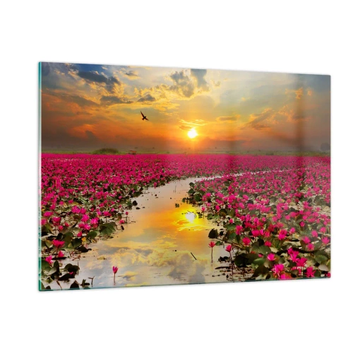 Obraz na szkle - Różowe lilie wodne na jeziorze o zachodzie słońca - 120x80cm - Tajemne życie jeziora - Nowoczesna dekoracja ścienna do salonu, kuchni i sypialni ARTTOR