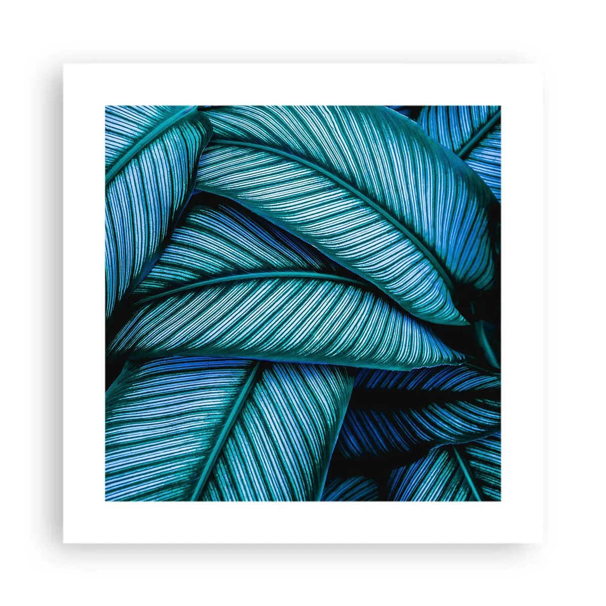 Plakat - Linie życia - 40x40 cm