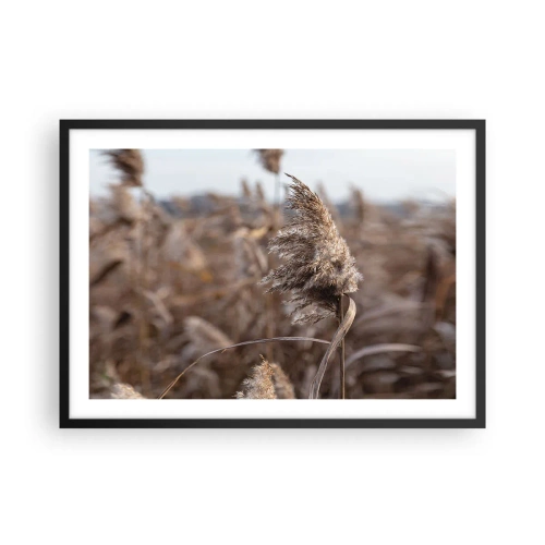 Plakat w czarnej ramie - Delikatne trawy w odcieniach beżu na tle natury - 70x50cm - Czas odlecieć z wiatrem - Nowoczesna dekoracja ścienna do salonu i sypialni ARTTOR