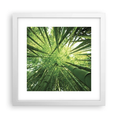 Plakat w białej ramie - W bambusowym gaju - 30x30 cm
