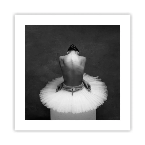 Plakat - Właśnie rozkwita - 40x40 cm