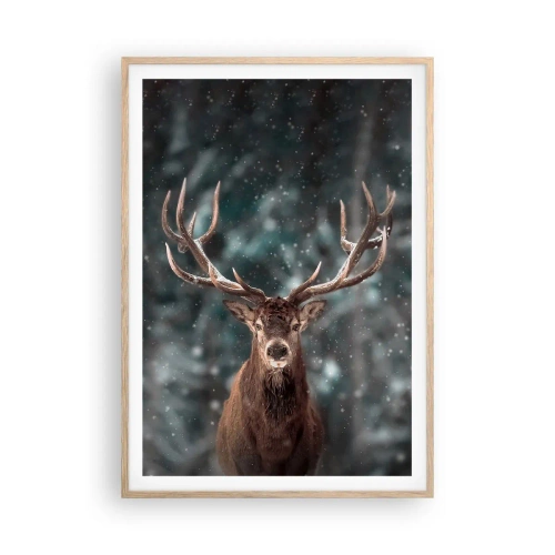 Plakat w ramie jasny dąb - Król lasu ukoronowany - 70x100 cm