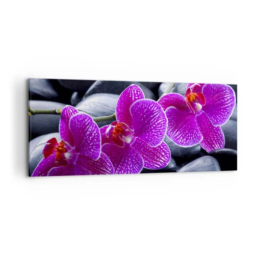 Obraz na płótnie - Fioletowe orchidee na tle czarnych kamieni - 120x50cm - Kamienie pojaśniały z zachwytu - Nowoczesna dekoracja ścienna do salonu i sypialni ARTTOR