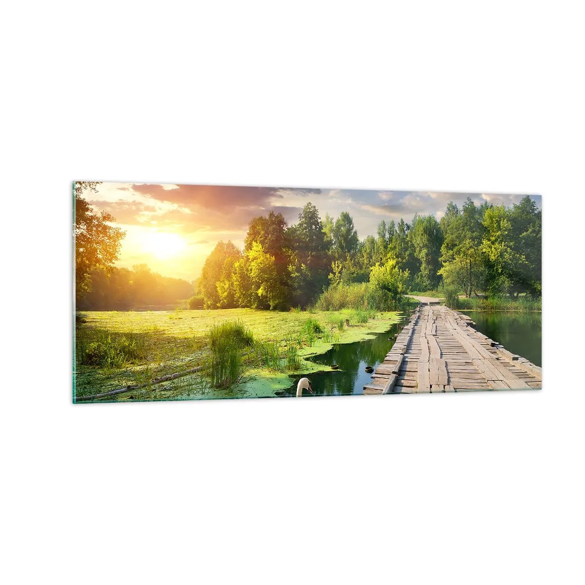 Obraz na szkle - Lato, lato wszędzie - 100x40 cm