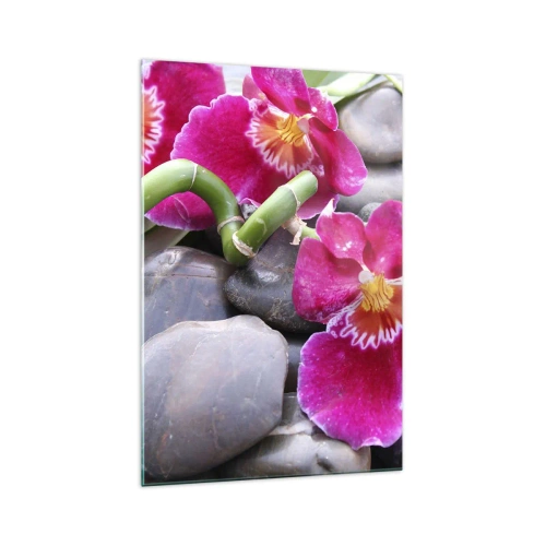 Obraz na szkle - Różowe orchidee na tle gładkich kamieni - 70x100cm - Chłód i żar - Nowoczesna dekoracja ścienna do salonu i sypialni ARTTOR