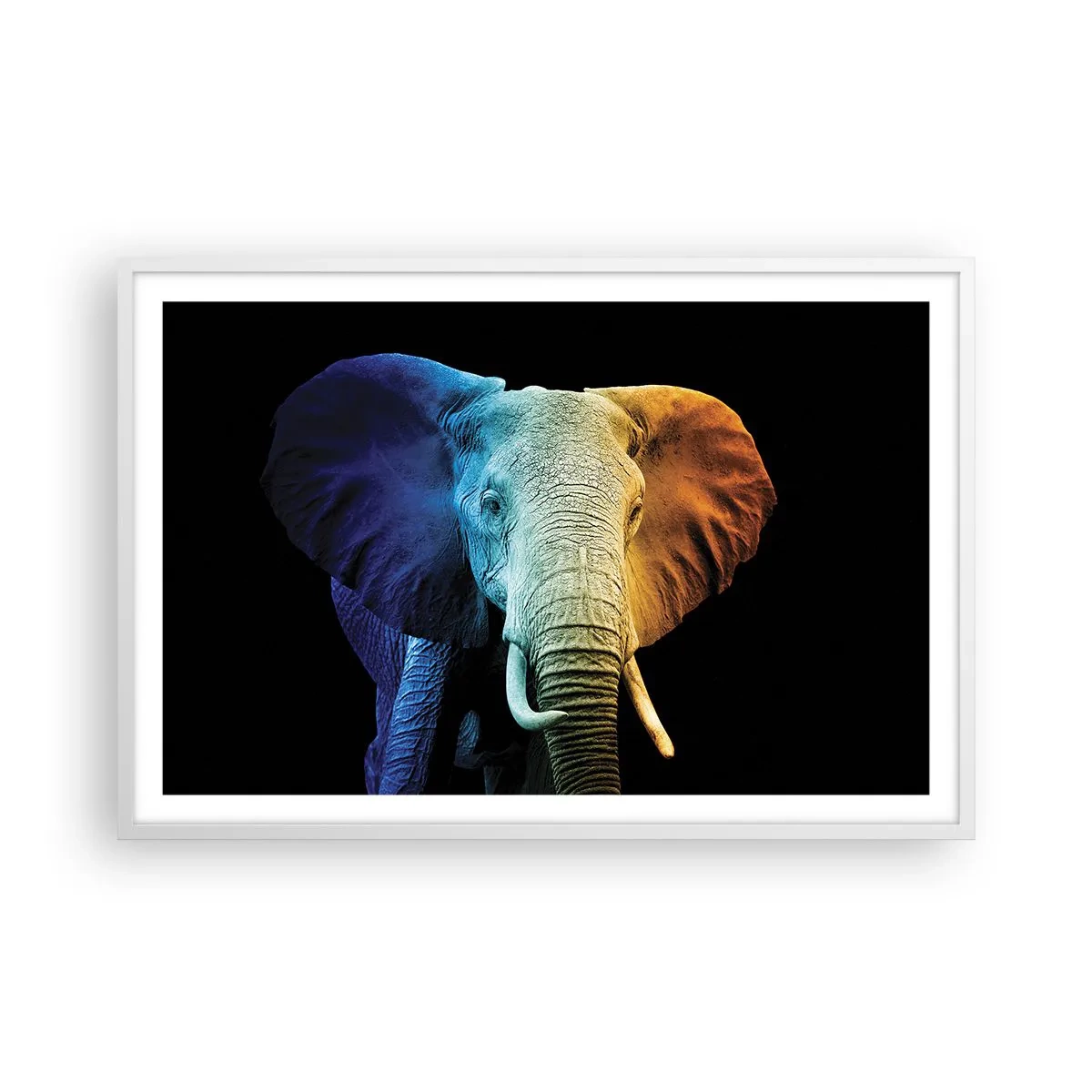 Plakat w białej ramie - Ekscentryk, nie dziwak - 91x61 cm