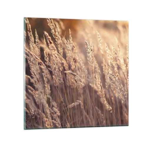 Obraz na szkle - Gotowe na powitanie jesieni - 60x60 cm