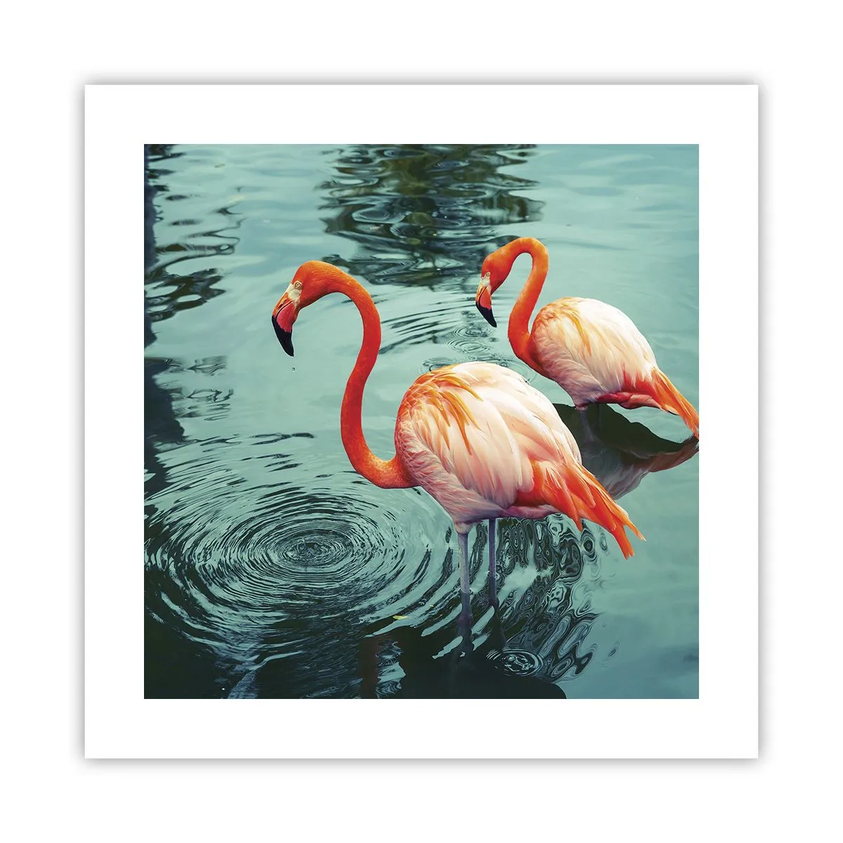 Plakat - Jesteśmy teraz w modzie - 40x40 cm