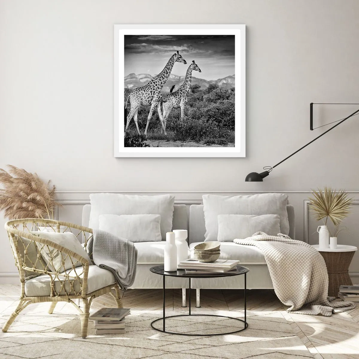 Plakat w białej ramie - Wyższe sfery w Afryce - 50x50 cm