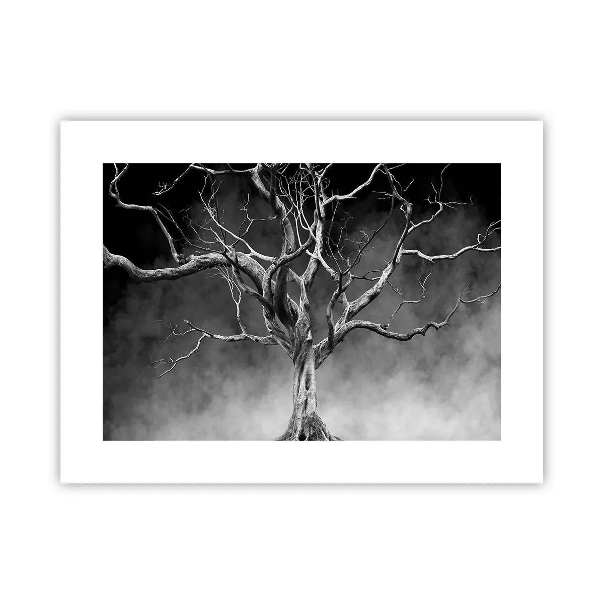 Plakat - Pierwotne i święte - 40x30 cm