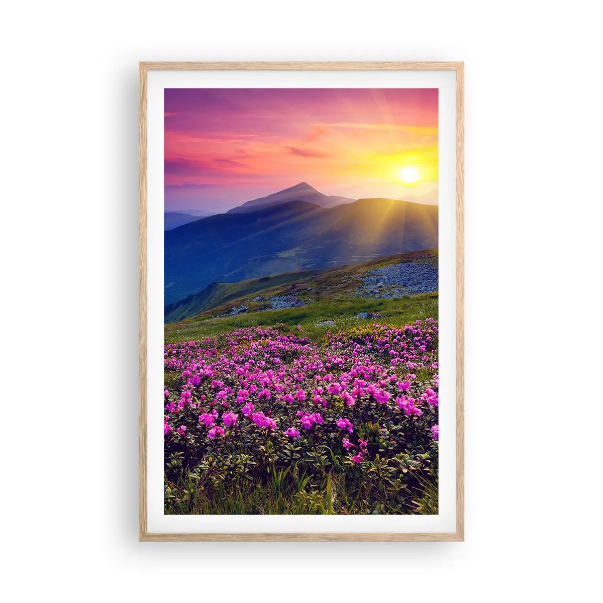 Plakat w ramie jasny dąb - … A dokoła pachnie kosodrzewina i wonieją zioła - 61x91 cm