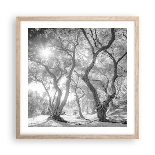 Plakat w ramie jasny dąb - W oliwnym gaju - 50x50 cm