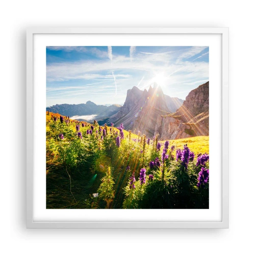 Plakat w białej ramie - Sekretne życie ziół - 50x50 cm