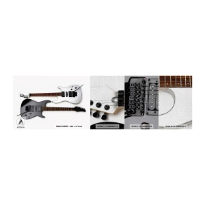 Fototapeta Próbka Premium Canvas - Harmonia kształtów - Muzyka, Gitara Elektryczna, Instrument Muzyczny - 100x30 cm