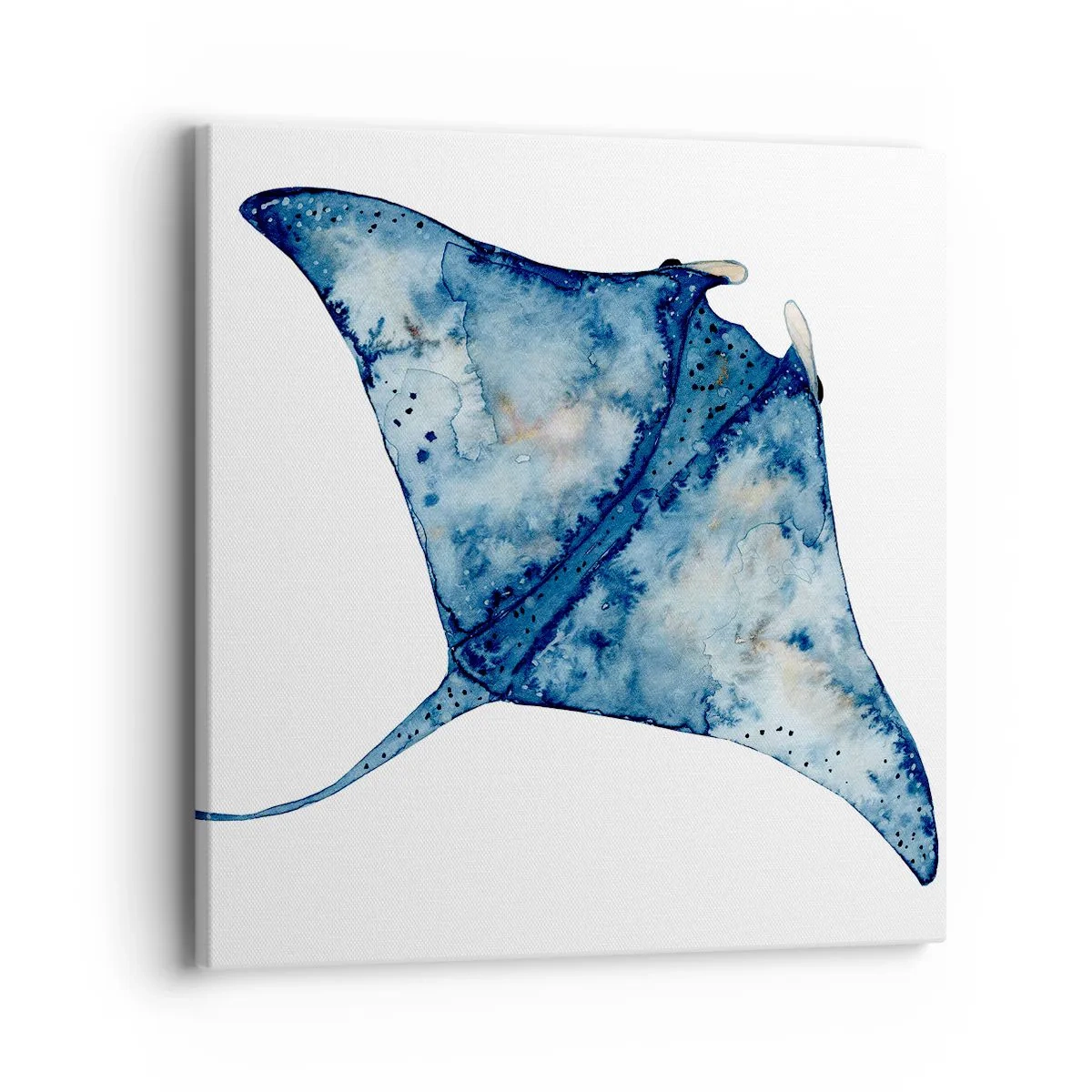 Obraz na płótnie - Życie w błękicie - 40x40 cm