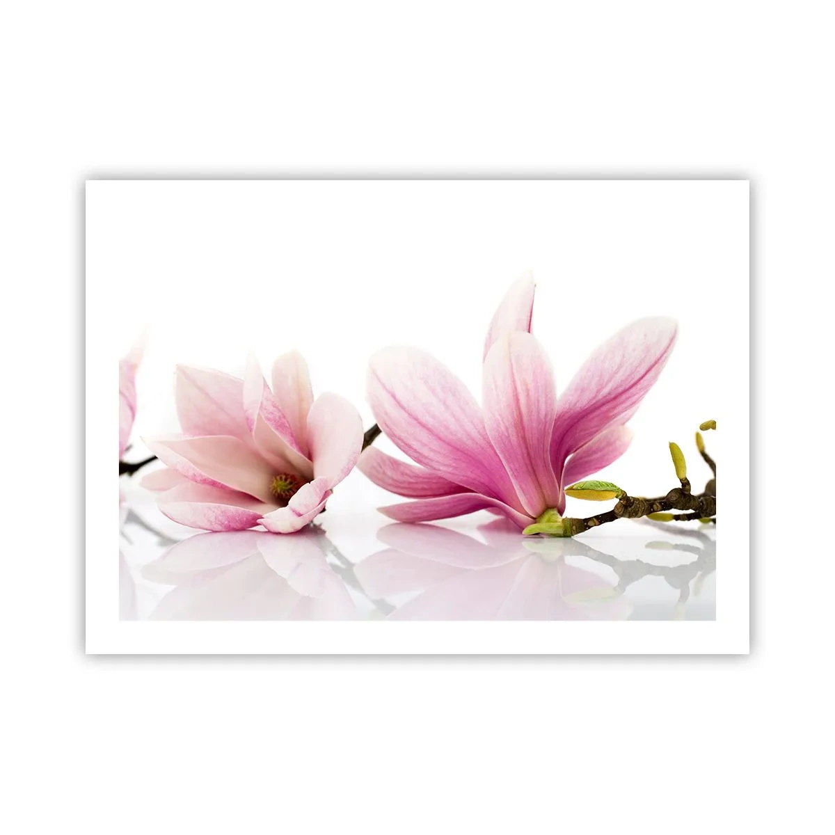 Plakat - Delikatne jak powiew wiosny - 70x50 cm