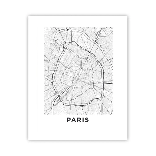 Plakat - Kwiat Paryża - 40x50 cm