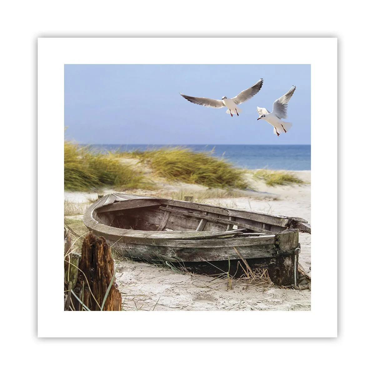 Plakat - Skąpane wiatrem - 40x40 cm