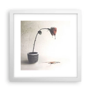 Plakat w białej ramie - Rosa dolorosa - 30x30 cm