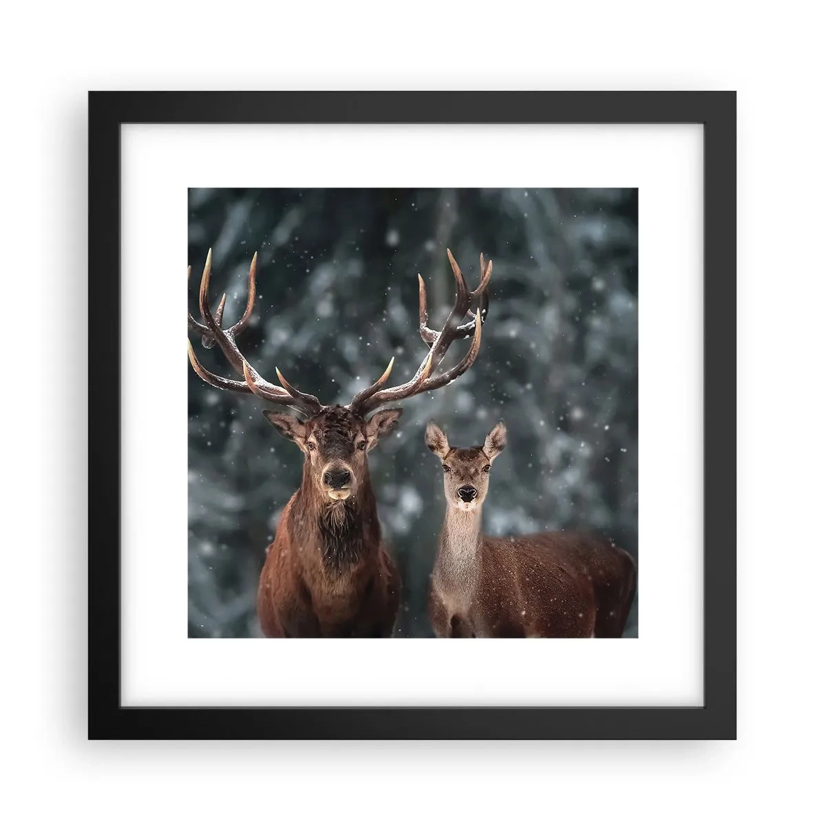 Plakat w czarnej ramie - Pan lasu z małżonką - 30x30 cm