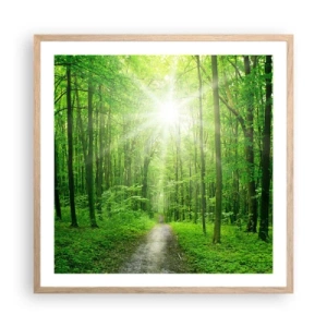 Plakat w ramie jasny dąb - Zielona katedra - 60x60 cm