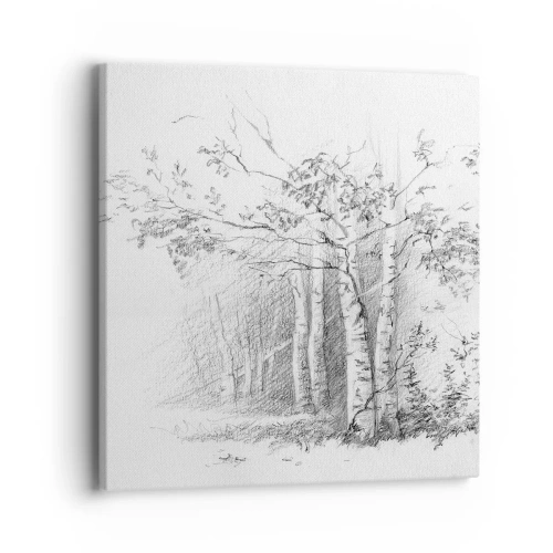 Obraz na płótnie - Światło brzozowego lasu - 40x40 cm