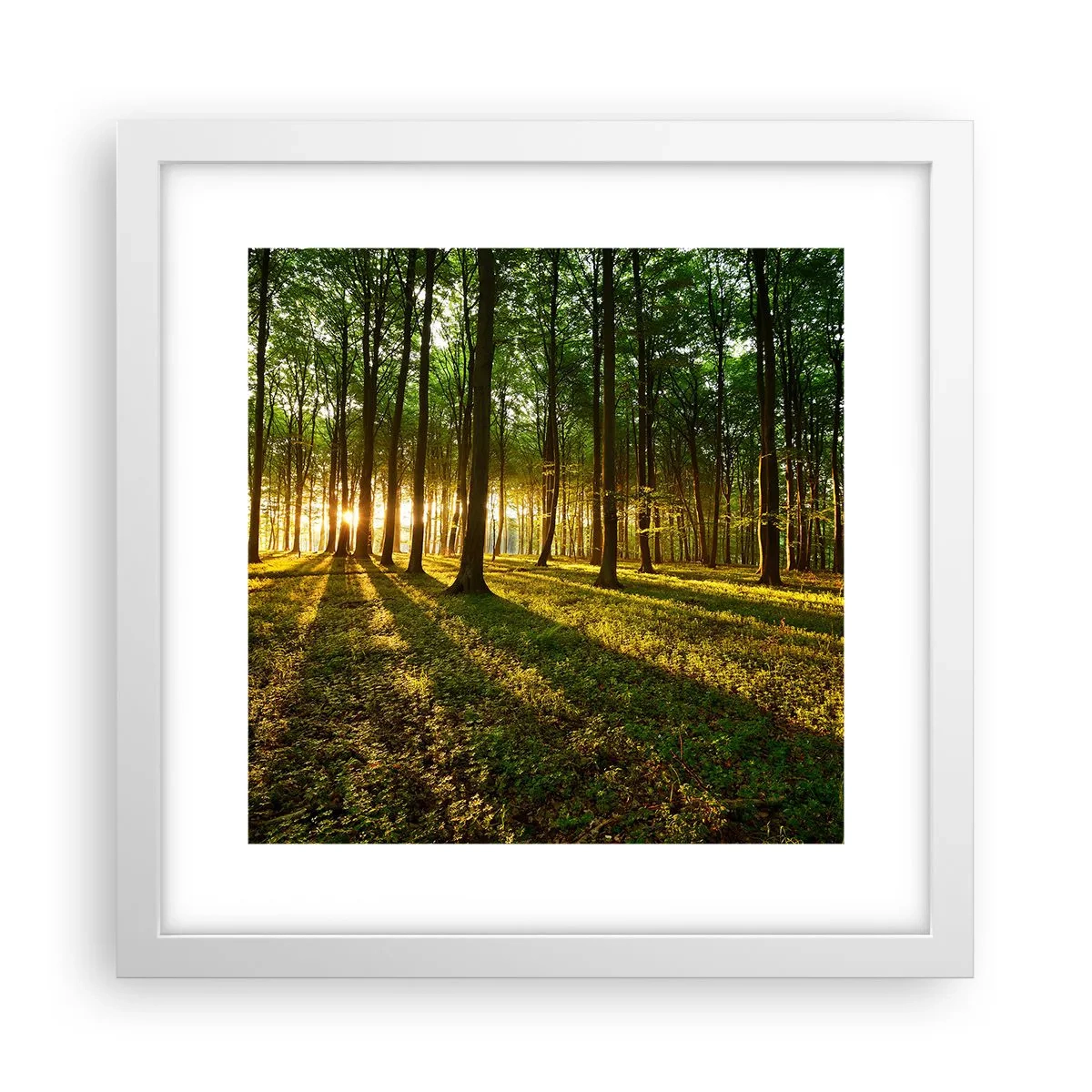 Plakat w białej ramie - Fotografia wszystkich wiosen - 30x30 cm