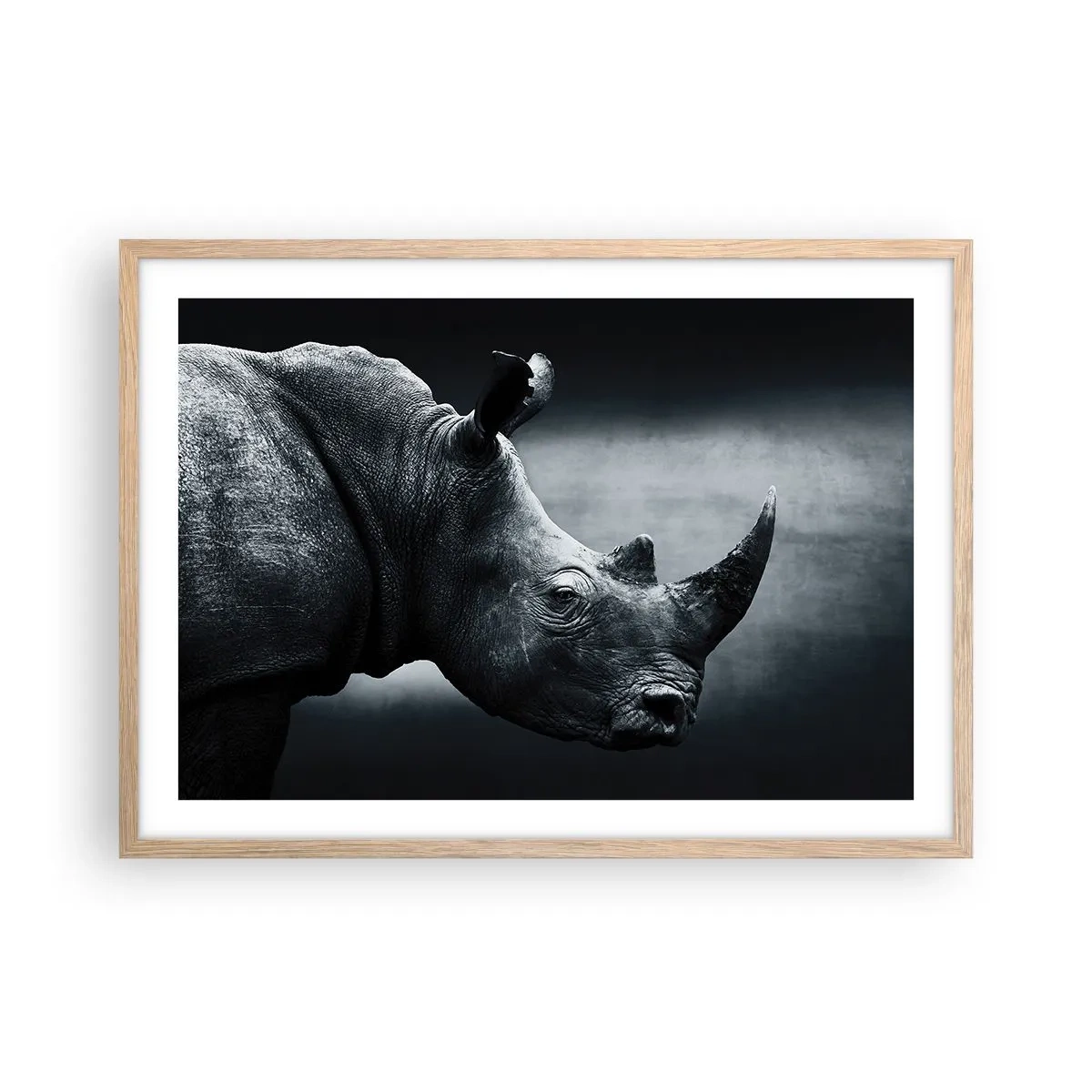 Plakat w ramie jasny dąb - Prawy profil - 70x50 cm