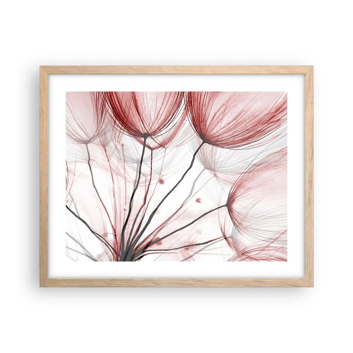 Plakat w ramie jasny dąb - Przed odlotem - 50x40 cm