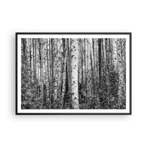 Plakat w czarnej ramie - Czarno-białe brzozy w lesie - 100x70cm - Brzozowa kolumnada - Nowoczesna dekoracja ścienna do salonu i sypialni ARTTOR
