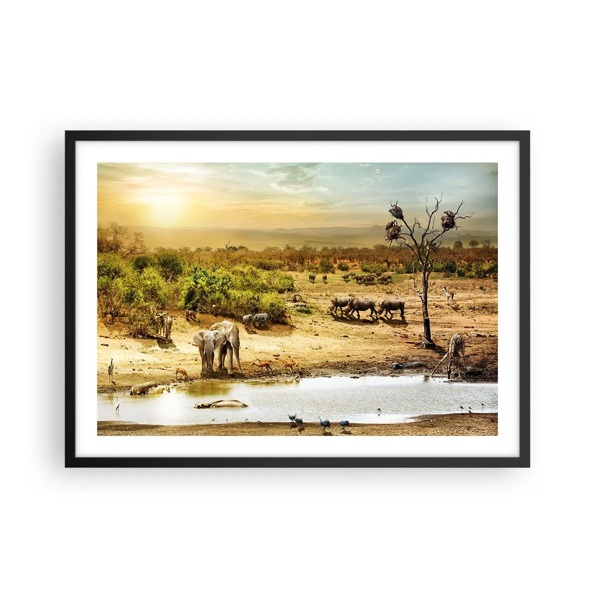 Plakat w czarnej ramie - Słonie i dzikie zwierzęta przy wodopoju o zachodzie słońca - 70x50cm - "Z Edenu zaś wypływała rzeka…" - Nowoczesna dekoracja ścienna do salonu i sypialni ARTTOR