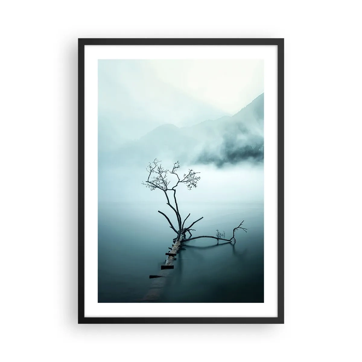 Plakat w czarnej ramie - Fotografia samotnego drzewa wyrastającego z wody w otoczeniu mgły i gór - 50x70cm - Z wody i mgły - Nowoczesna dekoracja ścienna do salonu i sypialni ARTTOR