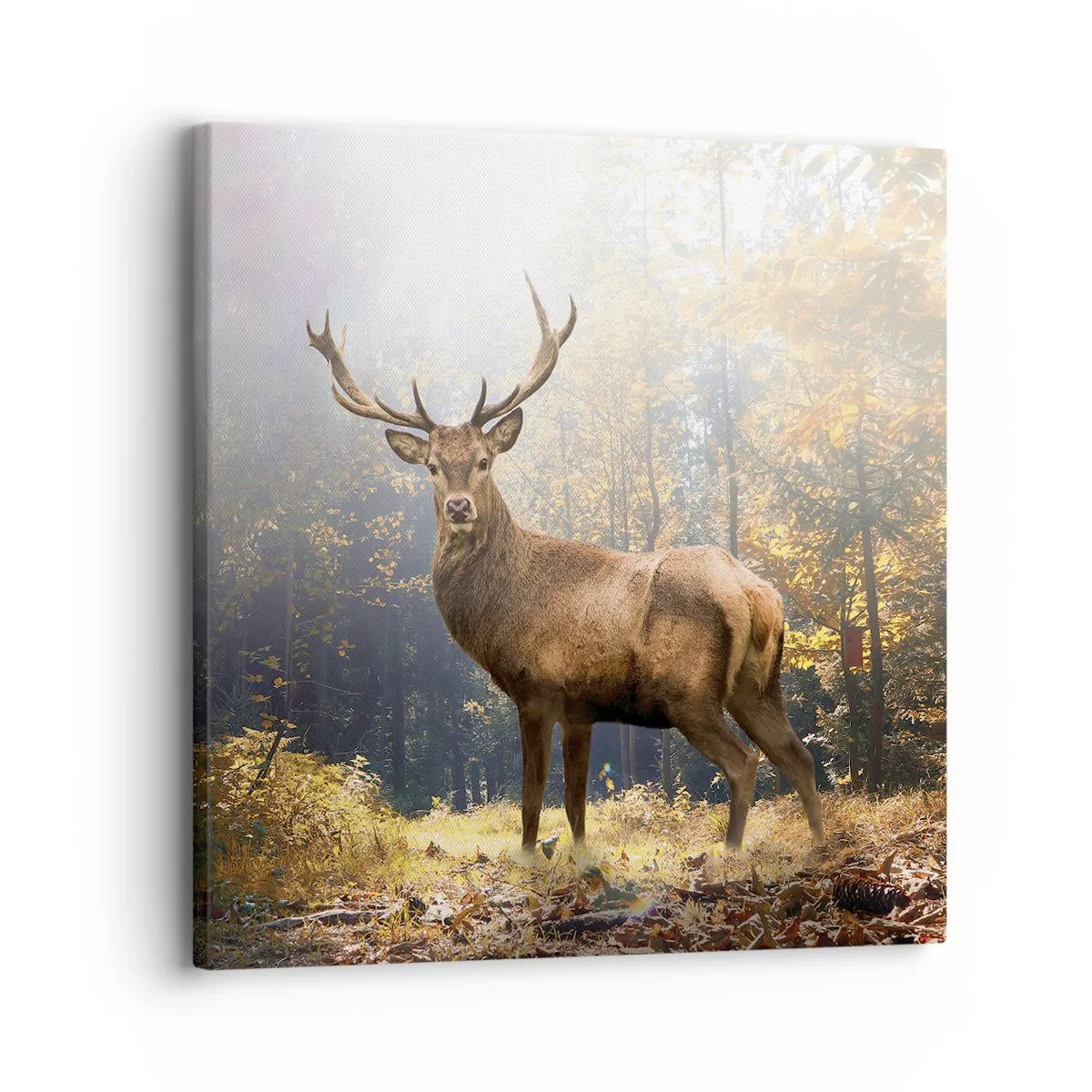 Obraz na płótnie - W pełnym majestacie - 30x30 cm