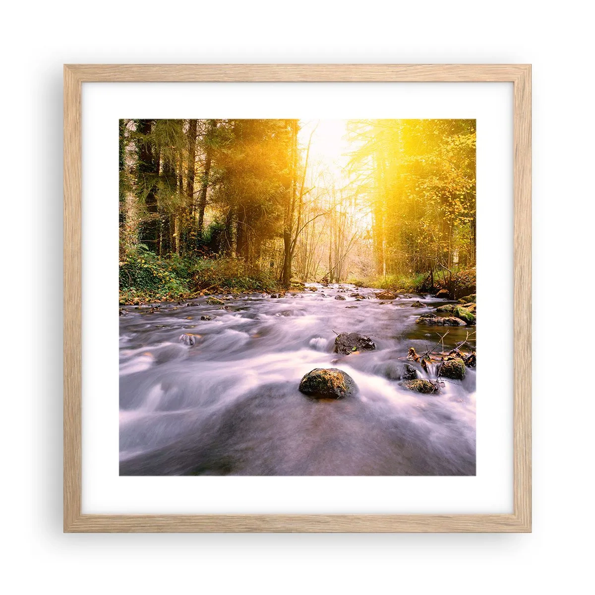 Plakat w ramie jasny dąb - Malachit w srebrno-złotej oprawie - 40x40 cm