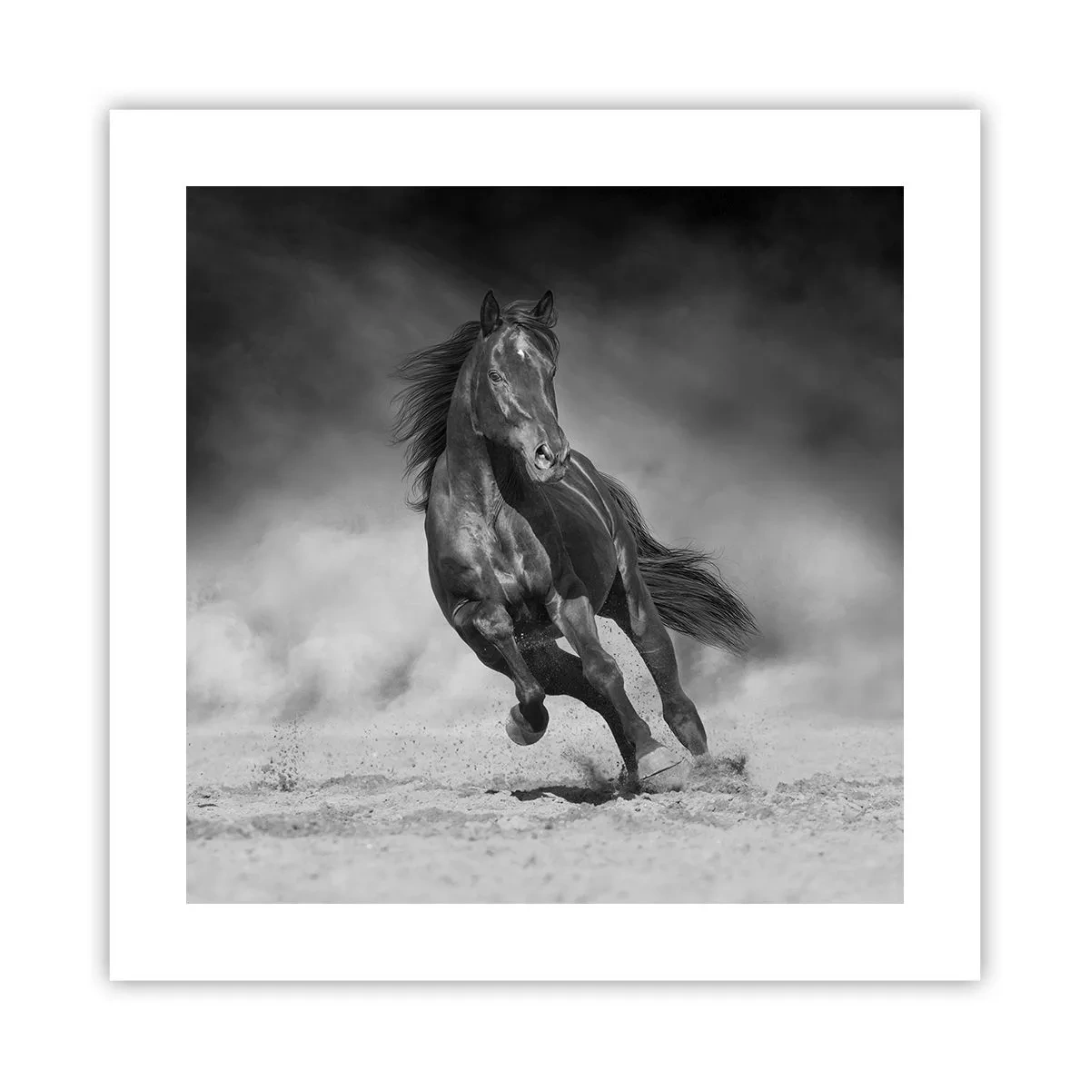 Plakat - Godny samego emira - 40x40 cm