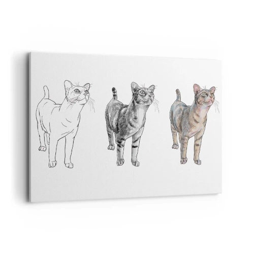 Obraz na płótnie - Ewolucja rysunku kota od szkicu do kolorowej formy - 100x70cm - Lekcja rysunku - Nowoczesna dekoracja ścienna do salonu, kuchni i sypialni ARTTOR