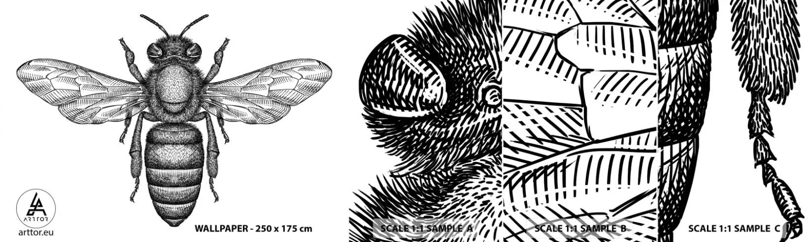 Fototapeta Próbka Samoprzylepna Deluxe Sticker - Owadzi portret - Pszczoła, Owad, Minimalistyczny - 100x30 cm