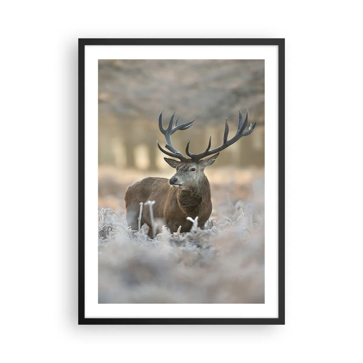 Plakat w czarnej ramie - Dostojny jeleń w zimowej scenerii leśnej - 50x70cm - Rześki poranek - Nowoczesna dekoracja ścienna do salonu i sypialni ARTTOR