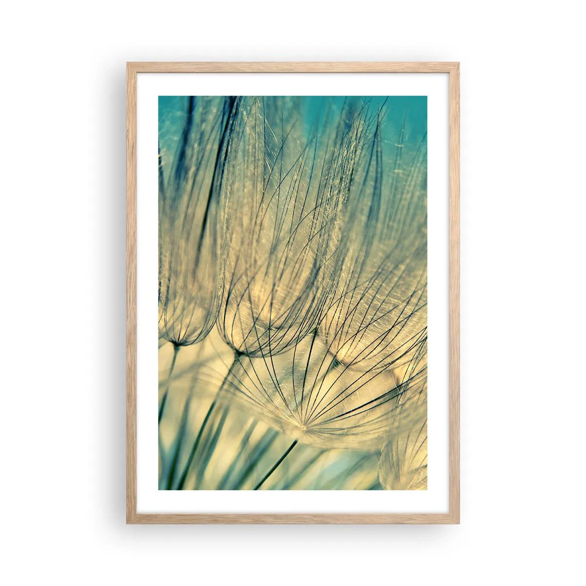 Plakat w ramie jasny dąb - W oczekiwaniu na wiatr - 50x70 cm