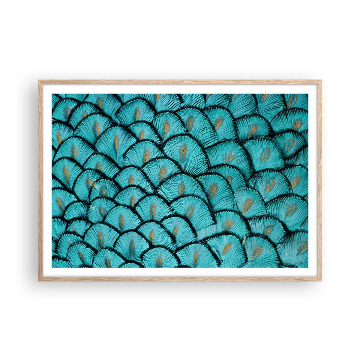 Plakat w ramie jasny dąb - Wielka gala piór - 100x70 cm