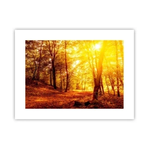 Plakat - Ku złotej polanie - 40x30 cm