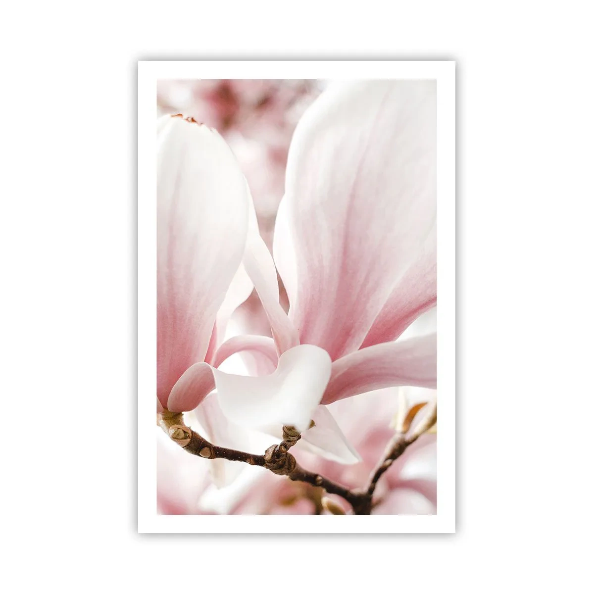 Plakat - Bezmiar czułości - 61x91 cm