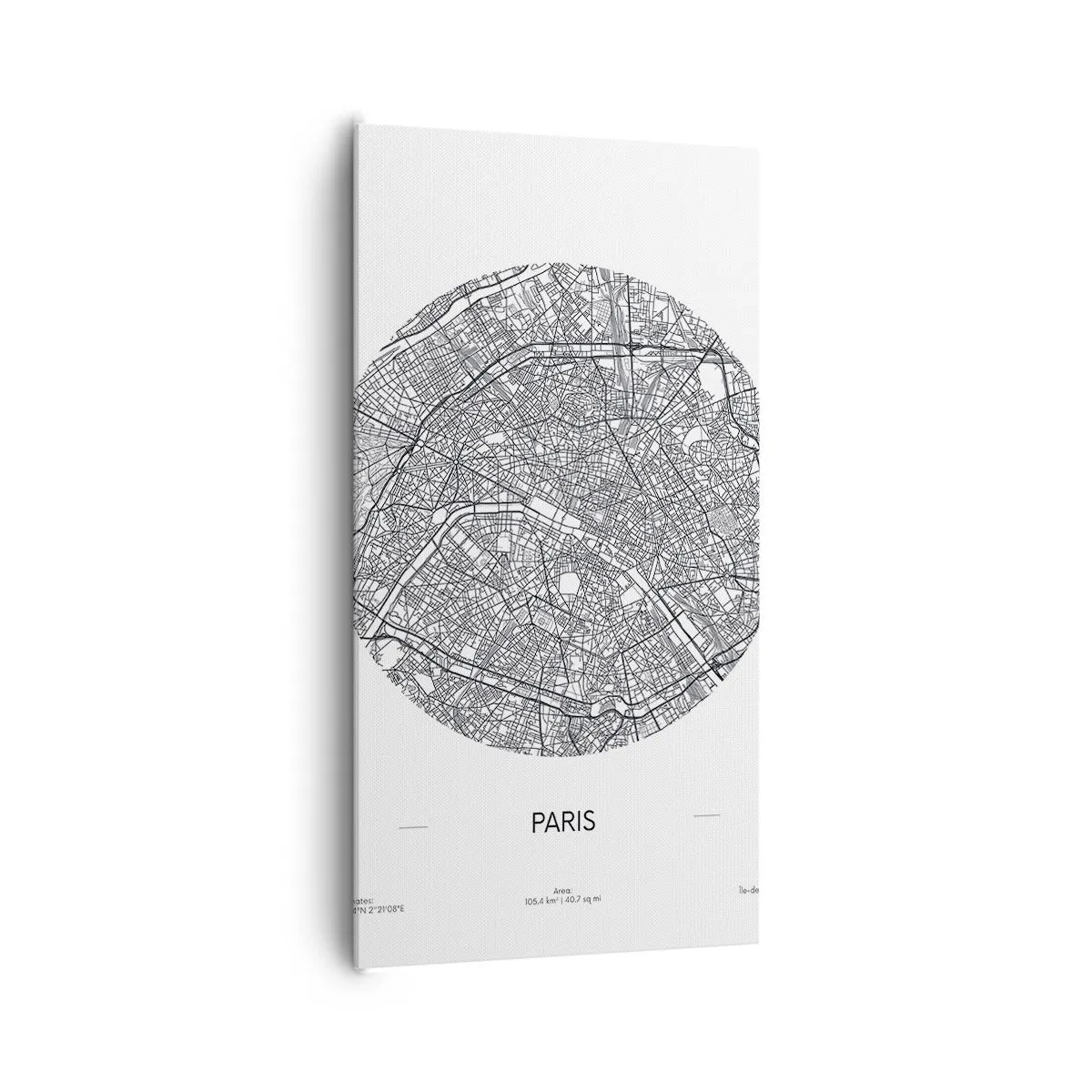 Obraz na płótnie - Anatomia Paryża - 65x120 cm