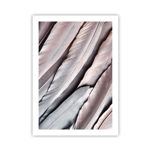Plakat - Zbliżenie na delikatne, pastelowe pióra - 50x70cm - W różowej srebrzystości - Nowoczesna dekoracja ścienna do salonu, kuchni i sypialni ARTTOR