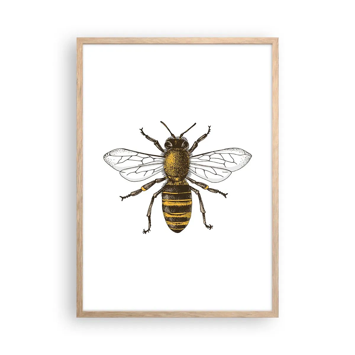 Plakat w ramie jasny dąb - Piękna i dobra - 50x70 cm