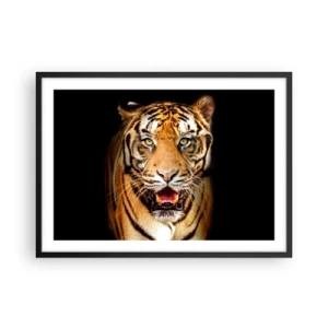 Plakat w czarnej ramie - Tygrys z otwartą paszczą na czarnym tle - 70x50cm - Dzikość serca - Nowoczesna dekoracja ścienna do salonu i sypialni ARTTOR