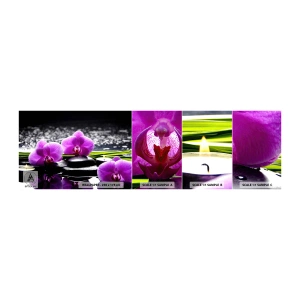 Fototapeta Próbka Standard Eco - Utonąć w ciszy i spokoju - Kwiaty, Orchidea, Storczyk - 100x30 cm