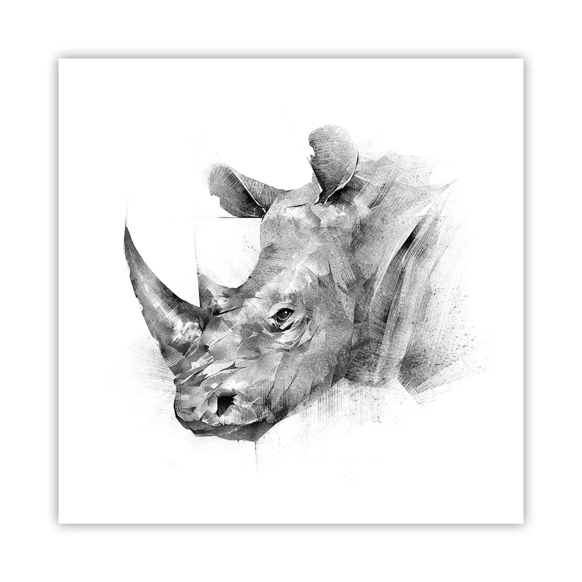 Plakat - Afrykański portret - 60x60 cm