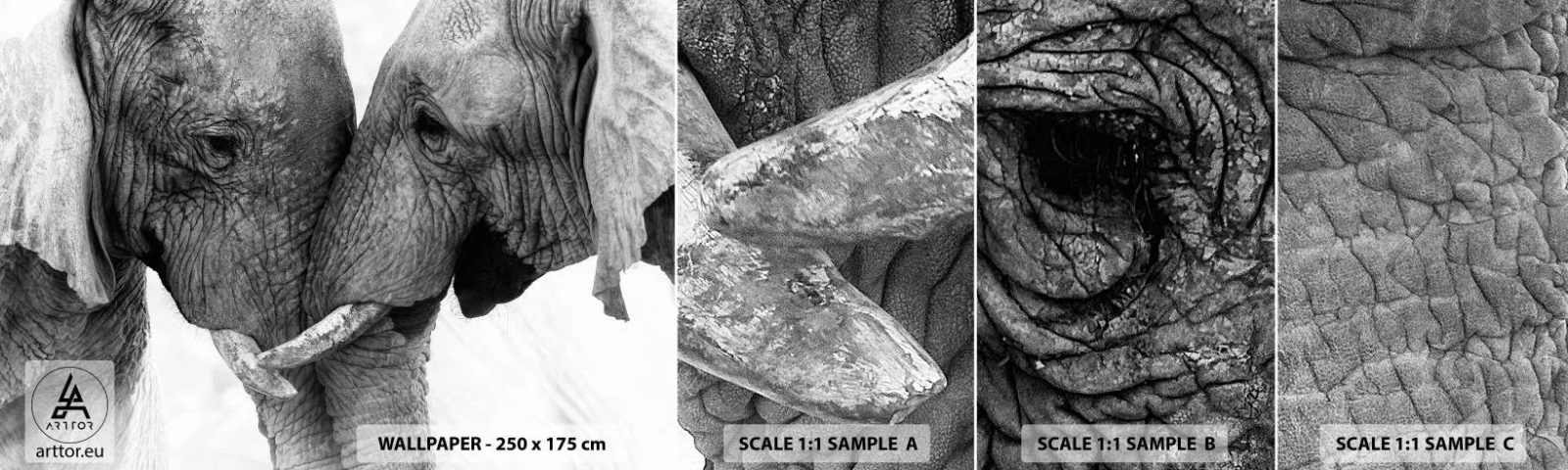 Fototapeta Próbka Standard Eco - Serdeczne wyznanie - Słoń, Zwierzęta, Afryka - 100x30 cm