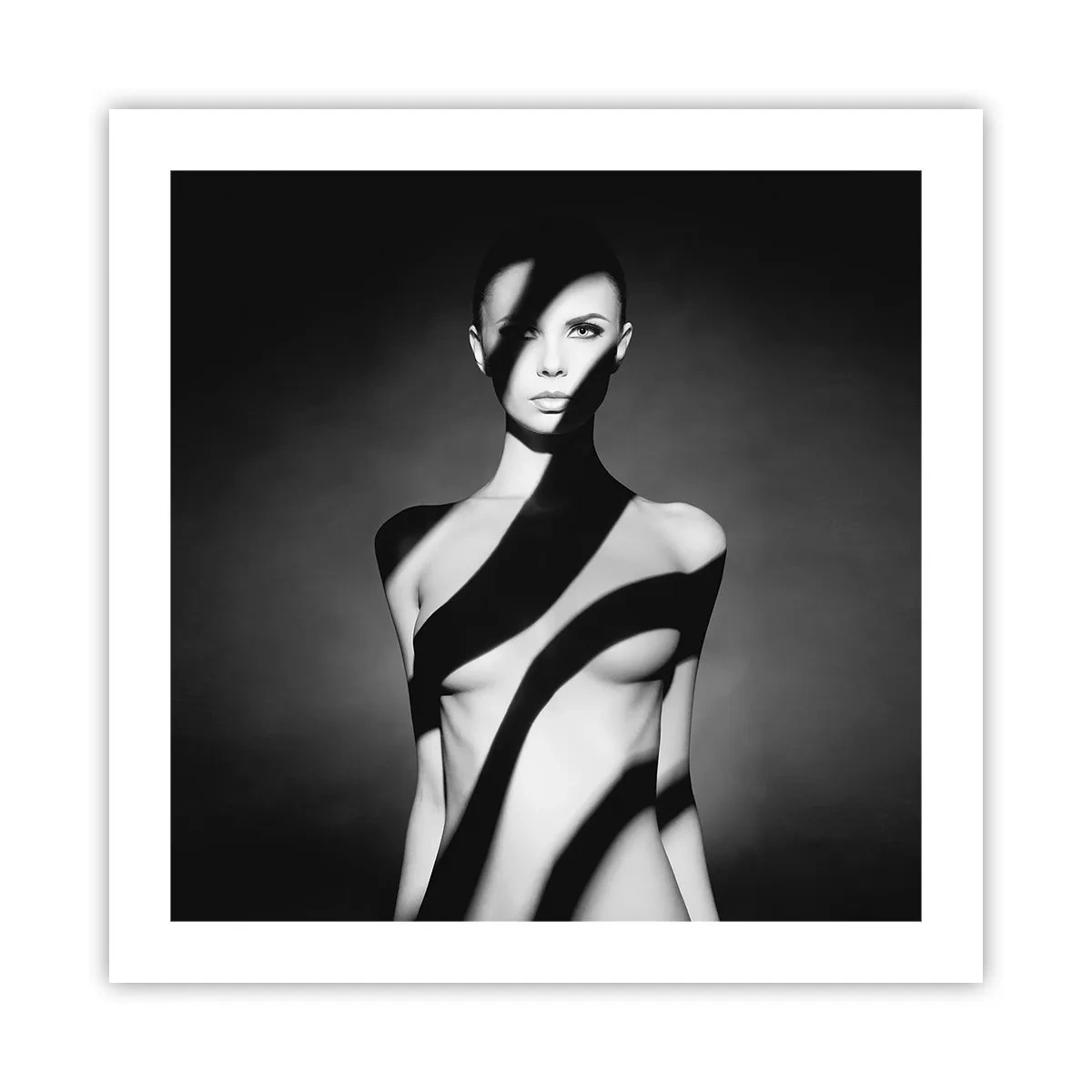 Plakat - W blasku i w cieniu - 50x50 cm